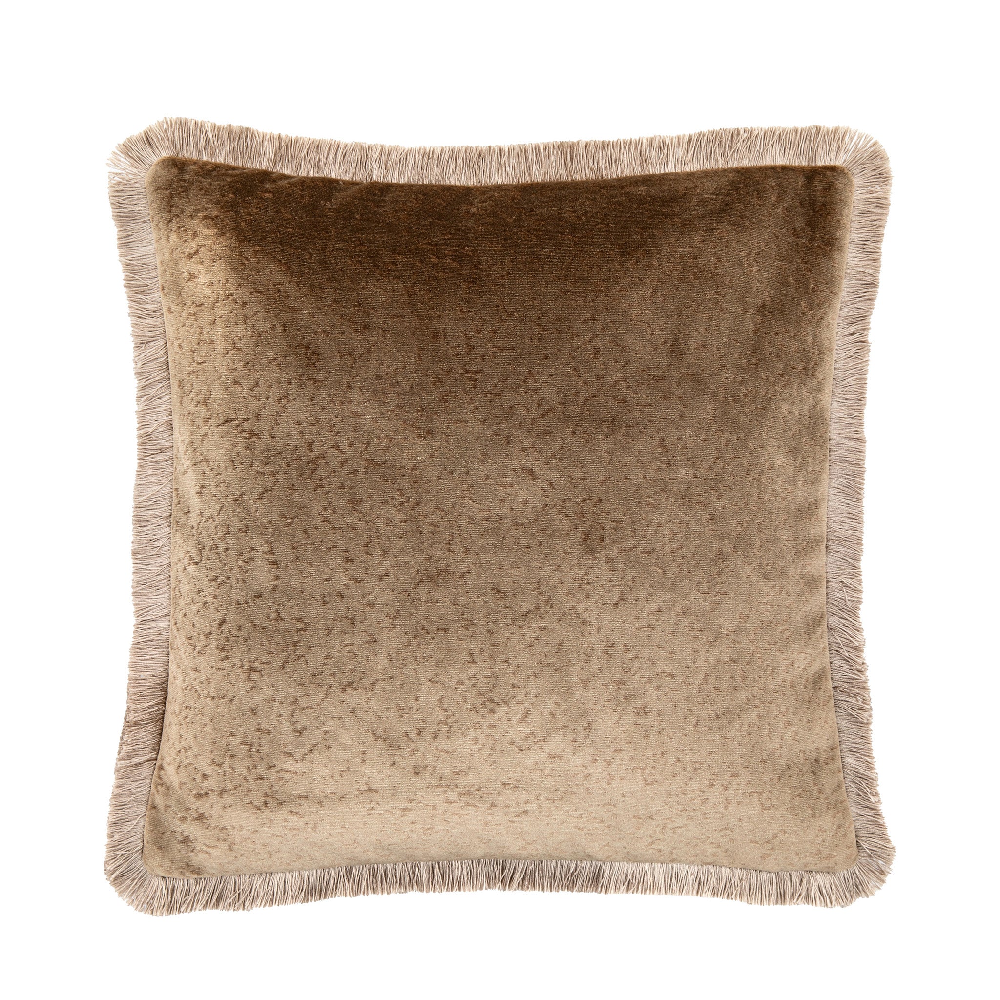 Mottled Velvet Fringed Cushion